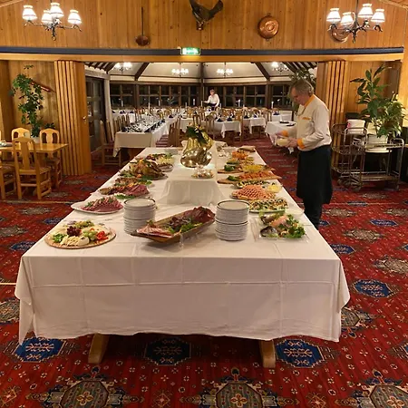 Skjerdingen Hoyfjellshotell Hotel