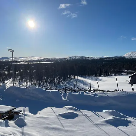 Skjerdingen Hoyfjellshotell 酒店 3*